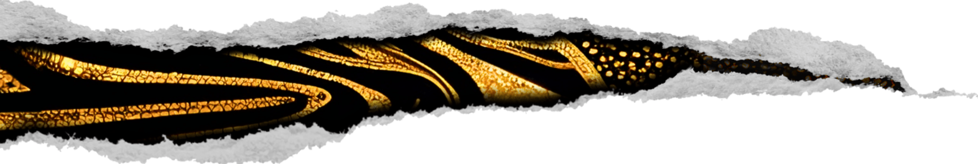 Torn paper strip reveals 80's-inspired hidden layer of a black jacket with gold textured pattern, glittering stripes, and dots underneath.